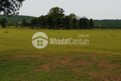 Bán 3 lô đất vườn bình tân, bắc bình gần liên huyện ra sân bay phan thiết chỉ 950trha lh 0938677909