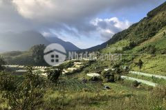 Bán đất tại sapa lô đất phù hợp làm resort view fanxipan siêu đỉnh