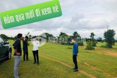 Bán 10000m2 đất bình thuận giá chỉ 900 triệu đồng, sổ đỏ sẵn bao công chứng sang tên