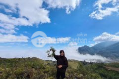 Bán mảnh 1231,9m tại thôn trung chảiy tý khu đô thị sapa 2