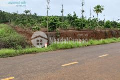 Đất ngay nông trại hiện hữu, diện tích 6000m2