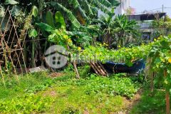 Siêu rẻ siêu to siêu đẹp 72m2 đất phúc lợi long biên p.lô 50m ôtô nhỉnh 2tỷ