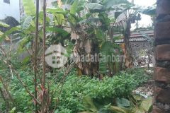 Hot hot cực hiếm thông số vàng phúc lợi long biên 39m2 đất mt4.3m ngõ thông ô tô hơn 1tỷ