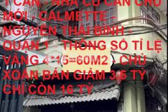Bán nhà lô góc calmette nguyễn thái bình quận 1 60m2 hạ 3.5tỷ còn 16tỷ