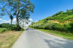 Bán nhanh hơn 1ha có 800m thổ cư, 2900m đất vườn, bám quốc lộ 12b hơn 100m