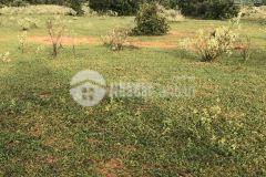 Đất gần khu du lịch, diện tích 5500m2 với giá 500 triệu đồng