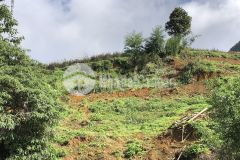 Đất nền nghỉ dưỡng mộc châu khai thác du lịch bốn mùa giá chỉ 1trm2.