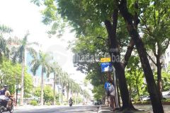 Bán nhà mặt đường lớn văn quán đầu tư đạt dòng tiền cực đại đường 40m vỉa hè 10m