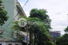 Cực phẩm nhà mới lê đức thọ,mỹ đình,từ liêm,ngõ thông,dt 45m2,mt 4m,nhỉnh 3tỷ