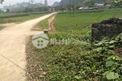 Bán 648 có 400m đất view đồng, mặt tiền dài, giá dưới 1 tỷ