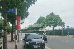 Bán đất thạch bàn long biên 300m2, mt 15m, giá 19 tỷ. ô tô tải vào giá đầu tư.