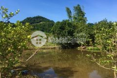 Có ao có suối nằm trong trung tâm du lịch vị trí đắc địa 102