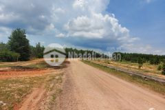 Đất nông nghiệp hồng thái, giá bán 100km2, sang tên ngay sau dịch