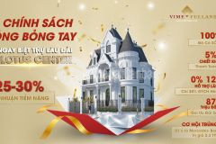 Tận hưởng toàn bộ tiện ích 5 của dự án tiêu chuẩn, mang thương hiệu vimefulland