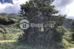 Bán mảnh đất 9000m2 tại ô quy hồ sapa giá sau covit19.