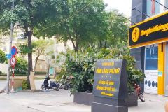 Tuyệt phẩm lê đức thọ,từ liêm,full nội thất,30m ra ôtô,50m2,mt 4m, 4t, 3.2tỷ