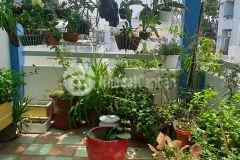 Nhà bán quận bình thạnh giá rẻ cực đẹp 6tỷ3 bạch đằng p14 bình thạnh