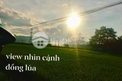 Sở hữu ngay một mảnh đất sẵn vườn rau ao cá,view đẳng cấp,chỉ có ở mộc châu đà lạt 2 miền bắc
