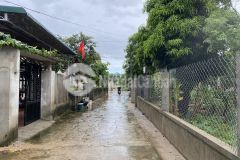 Khu dân cư phạm hồng thái, 6x25m giá chỉ 10xx