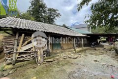 Cần bán lô đất 1300m2 phan cán sử view đẹp bao trọn y tý giá rẻ bất ngờ trong mùa dịch.