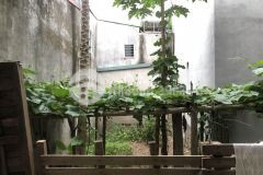 Siêu hot rẻ nhất ngọc thụy long biên 36m2 đất mt4m ba gác phi 50m ra phố chỉ nhỉnh 2 tỷ.