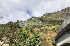 Bán lô đất 8ha vị trí gần nhiều khu phát triển du lịch tại sapa