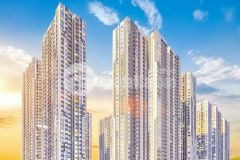 Chuyên mục bán đất hxh 791 793 khu biệt thự kiều đàm, quận 7