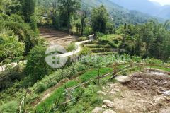 Siêu phẩm thôn lao chải sapa 2 giá đầu tư đón đầu quy hoạch