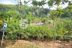 Bán đất nền mmường sang mộc châu 800m2