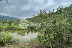 Bán đất đón sóng dự án cao tốc hòa bình, sơn la. đầu tư mang lại lợi nhuận cao.