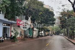 Siêu phẩm nhà đẹp nghĩa đô cầu giấy, ôtô đỗ cửa,kd tốt,dt 60m2,mt 4m,4t, nhỉnh 7tỷ