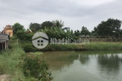 Cho thuê ao, vườn ở xã đồng lạc, nam sách cách cầu hàn 4 km.