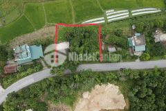 Bán ô đất thổ cư hoành bồ thích hợp làm trang trại