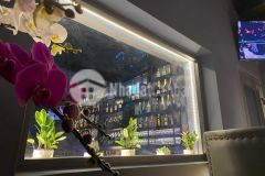 Cần bán gấp mt bùi viện, q.1. dt 3x10, 5 tầng. giá 24 tỷ