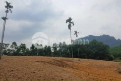 Bán gần 3000m view đồng rộng núi non, gần serena tại kim bôi