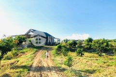 Bán 5 lô rộng hơn 100ha làm trang trại ninh hòa, khánh hòa giá rẻ lh 0788.558.552