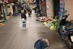 Thanh lý nhanh lô đất cửu việt 2, trâu quỳ, gia lâm 72m2, kinh doanh sầm uất