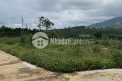 Bán 220m2 đất ngay tttp bảo lộc, shr, chỉ 1.15 tỷ. lh0977896804.