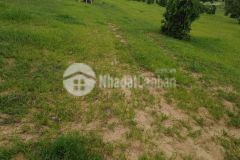 Chỉ 1,185 tỷ có ngay 1 hecta đất nông nghiệp hoà thắng gần đường đt 716 lh 0938677909 xem sổ