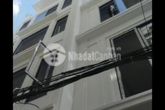 Nhỉnh 5 tỷ nhà siêu đẹp phố lạc long qu n 50m2 5t