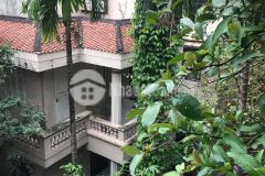 Bán biệt thự nhà vườn nguyễn trãi,thanh xuân,204m2 x3t,mt12m,hàng xóm quan chức,30 tỷ.