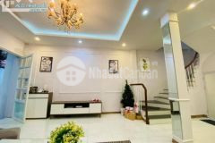 Hoa hâu tân mai, hoang mai 45m x 5t ô tô chi 3.8 ty lh 0886644228