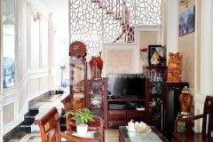 Bán nhà phố hoàng sâm, cầu giấy, 65m x 5t, ô tô vào nhà