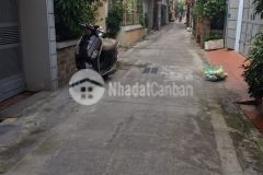 Bán đất giá rẻ phố hoa lâm việt hưng dt 82m2, giá 2.3 tỷ