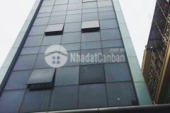Bán nhà phố nguyễn khang, vị trí đắc địa, dt 80m2, 7 tầng, giá 20 tỷ