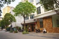 Ban nha măt phô dich vong, câu giây 184m2, măt tiên 12m, kd đinh cao, 33.5 ty
