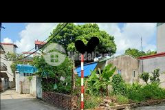 3,6 tỷ 60m2 đất thổ cư 2 mặt ngõ ô tô thạch bàn long biên