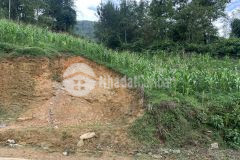 Đất nền nghỉ dưỡng sapa2 đón đầu quy hoạch,thanh khoản nhanh.