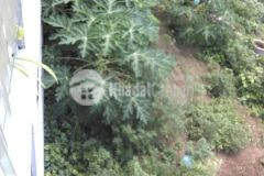 Bán đất ngọc thụy ngay cạnh học viện hậu cần kinh doanh sầm uất.