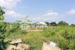 Lh 0777016222 mr. tuấn nhà triệu đô, sang gấp lô đất bưng ông thoàn, phú hữu, thủ đức 4020m2 45tỷ